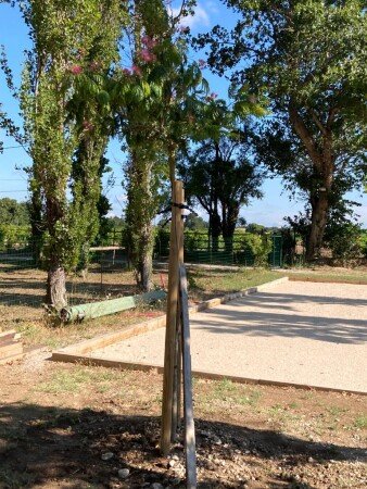 Hébergement insolite 1 chambre, avec jardin