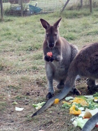 Hébergement insolite romantique, 3 voyageurs