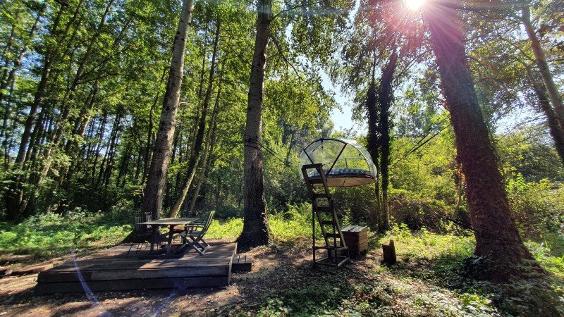 Bulle 1 chambre, avec jardin