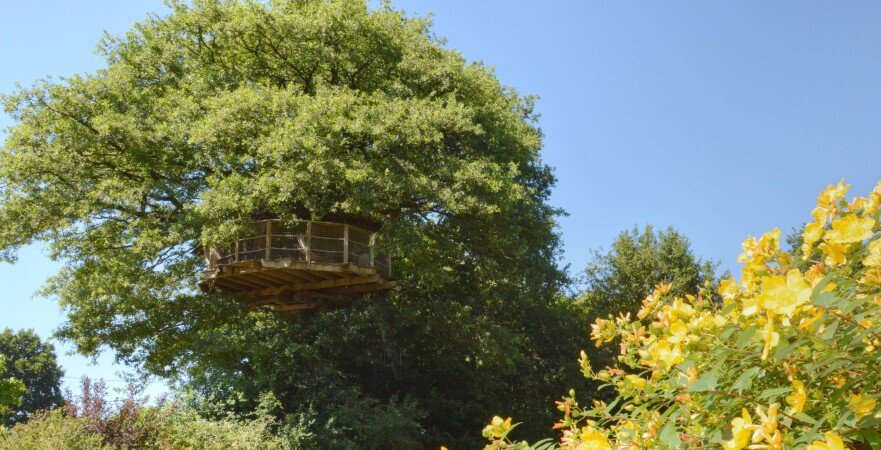 Cabane dans les arbres 1 chambre, avec jardin