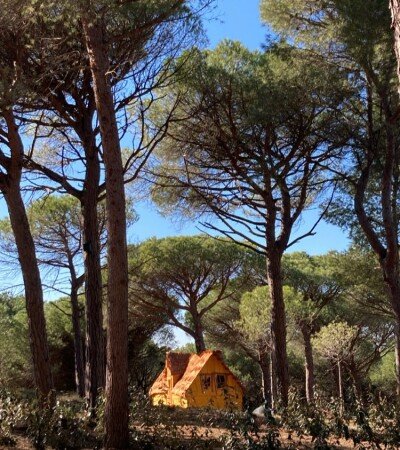 Cabane romantique, 4 voyageurs, avec jardin