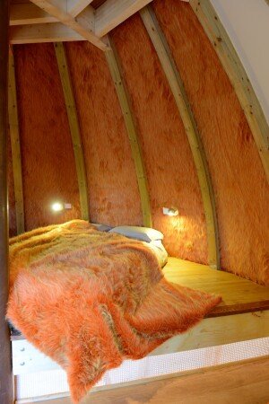Cabane 1 chambre