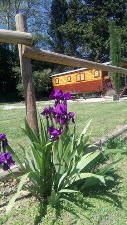 Roulotte 1 chambre, avec jardin