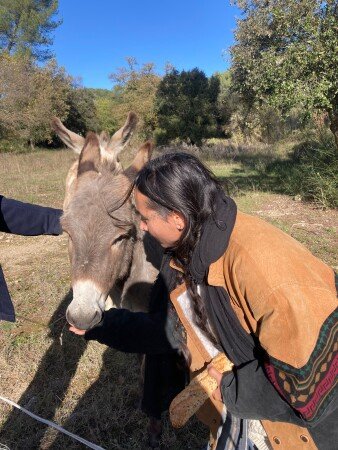 Cabane 1 chambre, avec jardin