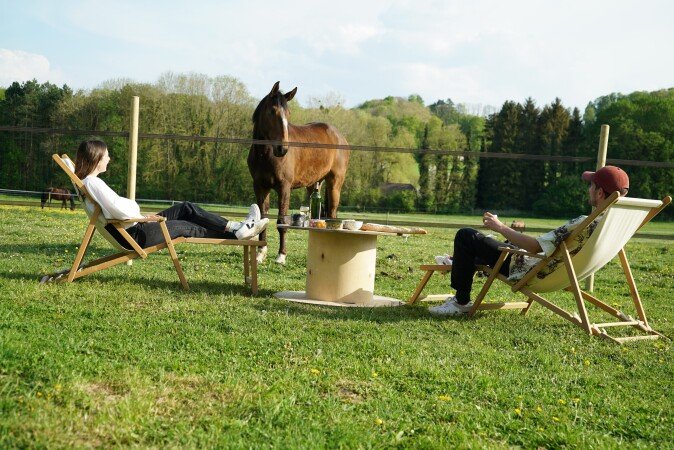Tiny house 1 chambre, avec jardin