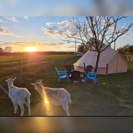 Tente 1 chambre, avec wifi