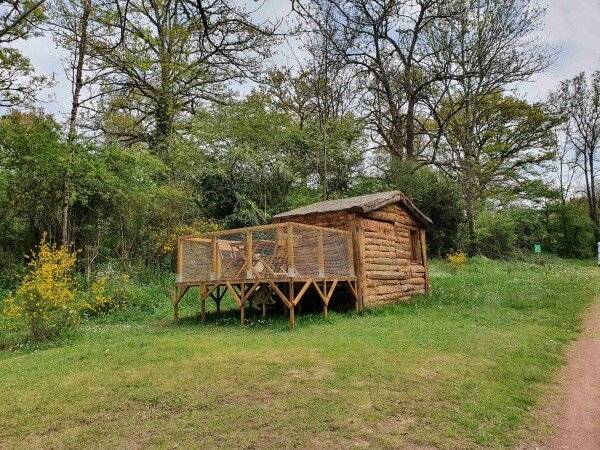 Cabane 1 chambre, avec jardin