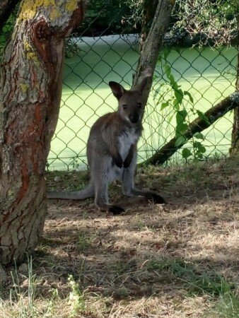 Hébergement insolite romantique, 4 voyageurs