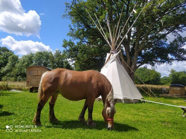 Tipi authentique, 1 chambre