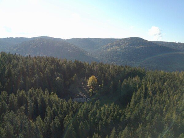 Atípico 1 habitación, con jardín