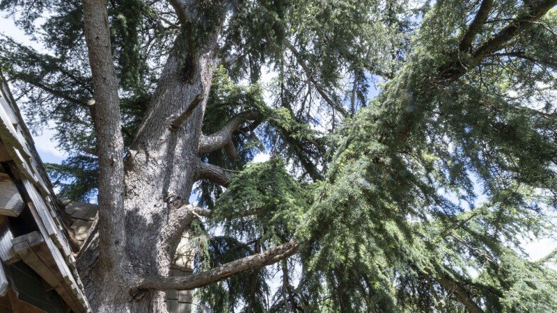 Hébergement insolite 1 chambre, avec jardin