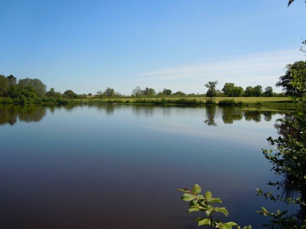 Cabane dans les arbres 2 voyageurs, avec jardin