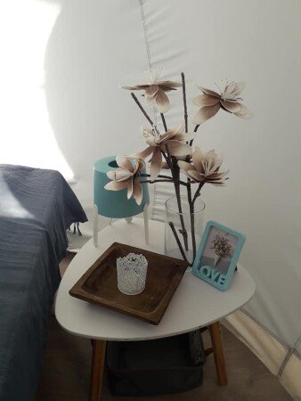 Bulle 1 chambre, avec jardin