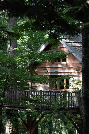 Cabane dans les arbres 2 chambres, avec jardin