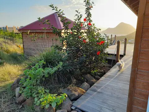 Cabane 1 chambre, avec jardin