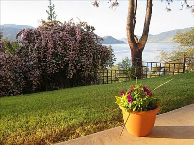 House 1 bedroom, with air conditioning