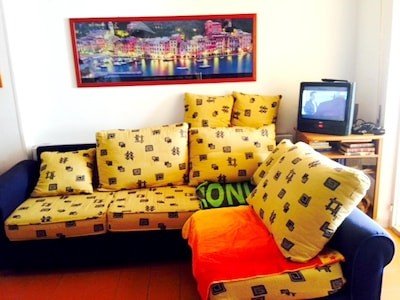 Appartamento 2 camere, con giardino