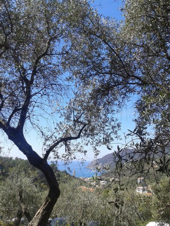 Bed and breakfast 3 camere, con giardino