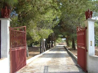 Villa 3 camere, con giardino