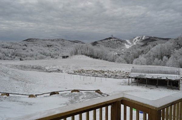 House 8 bedrooms, with garden