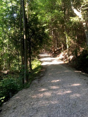 House 3 bedrooms, with garden