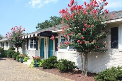 Bed and breakfast 6 bedrooms, with gym