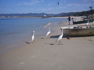 Apartamento 1 quarto, com ar condicionado