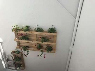 Casa 3 habitaciones, con jardín