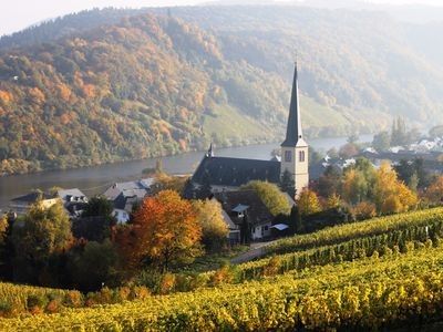 Wohnung 1 Schlafzimmer