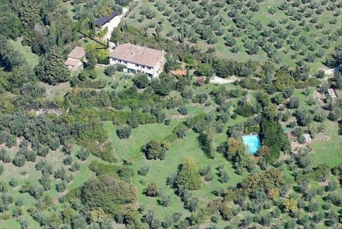 Appartamento 2 camere, con piscina