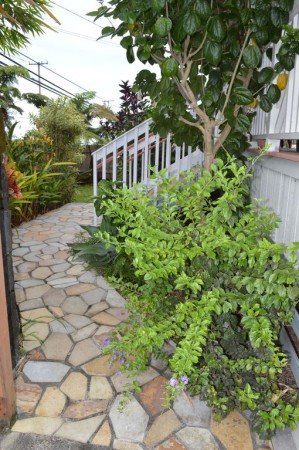 House 3 bedrooms, with gym