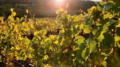 House 2 bedrooms, with garden