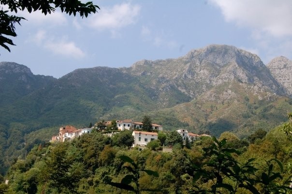 Casa 2 camere, con piscina