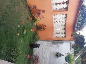 Casa 3 quartos, com piscina