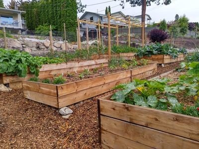 House 3 bedrooms, with garden