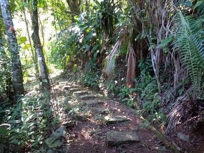 Casa 2 quartos, com jardim