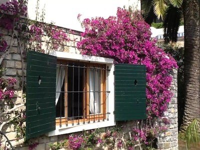 Bed and breakfast 1 camera, con giardino