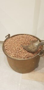 Maison cozy, 1 chambre, avec jardin