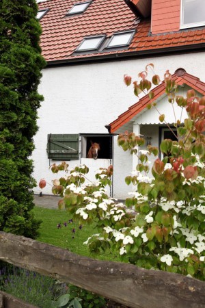 Wohnung 1 Schlafzimmer, mit Fitnessstudio