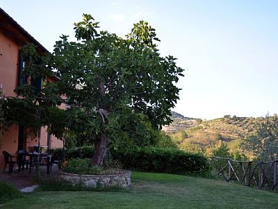 Bed and breakfast 1 camera, con piscina