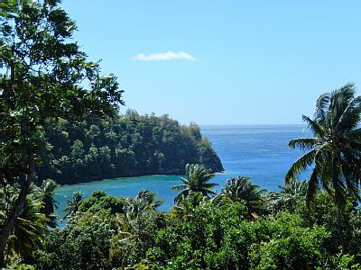 Maison en bois design, 1 chambre, avec jardin