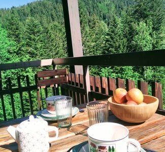 Appartement 1 chambre