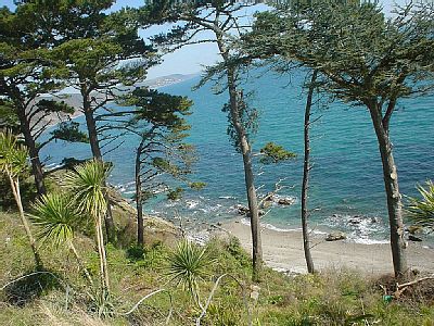 House 3 bedrooms, with garden