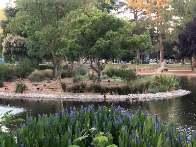 House 1 bedroom, with jacuzzi