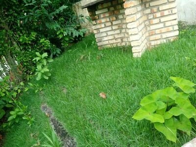 Chalé 25 convidados, com piscina