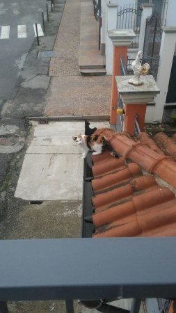 Casa 2 camere, con giardino