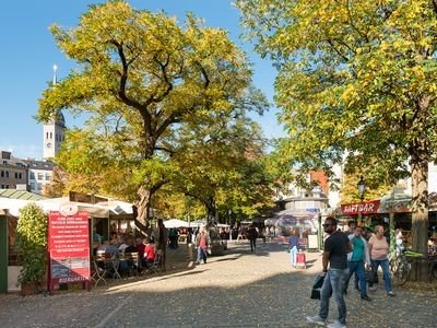 Apartment 1 bedroom, with wifi