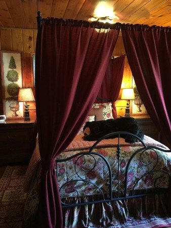 House 1 bedroom, with jacuzzi