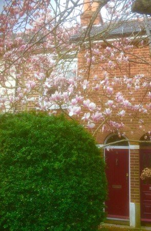 House 2 bedrooms, with gym