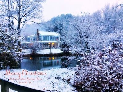 Bed and breakfast 1 bedroom, with gym